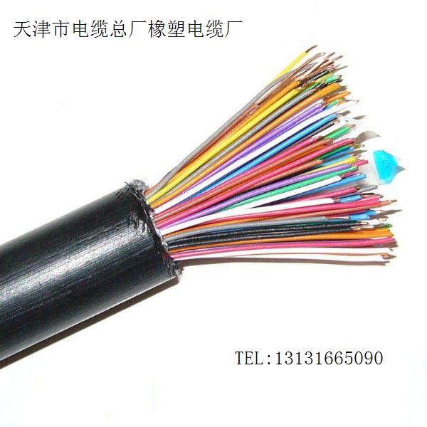 DJYVP2-22電纜 ZR-DJYVP2-22電纜 計(jì)算機(jī)電纜價(jià)