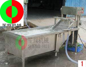 洗菜機(jī)蔬菜清洗機(jī)