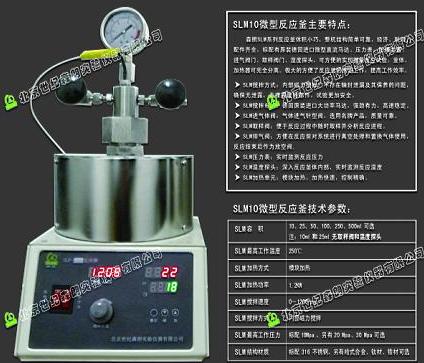 微型反應器，實驗高壓反應釜，SLM10微型反應釜