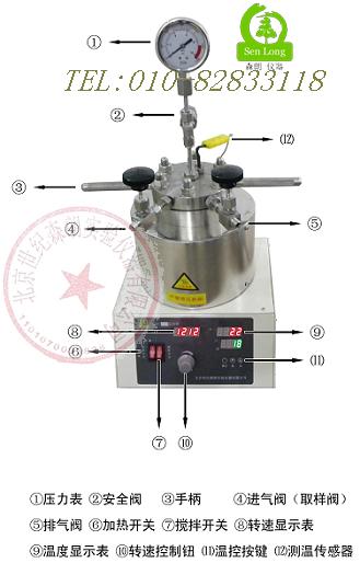 南京SLM50微型反應(yīng)器