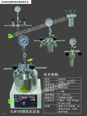 100ml微型反應(yīng)器，實(shí)驗(yàn)高壓反應(yīng)釜，100ml微型高壓加氫釜