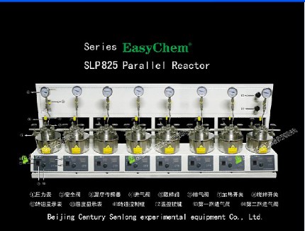 供應(yīng)SLP825磁力平行高壓反應(yīng)釜