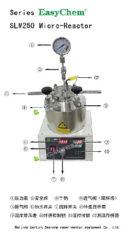 250ml數(shù)顯微型反應(yīng)釜