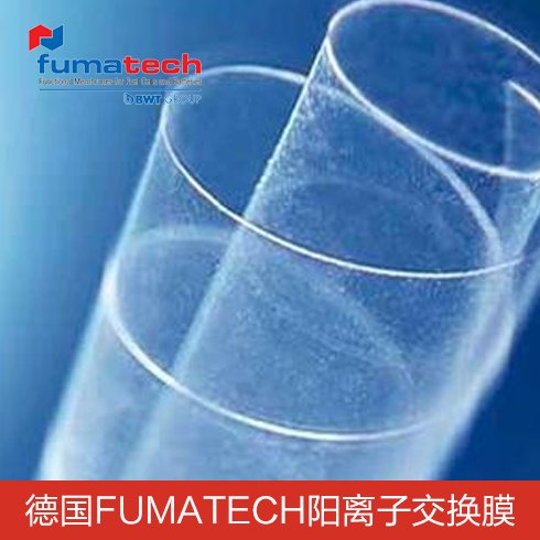 德國(guó)FuMA-Tech 質(zhì)子交換膜 陽離子交換膜 全氟磺酸 Fumaep FS-930-RFS