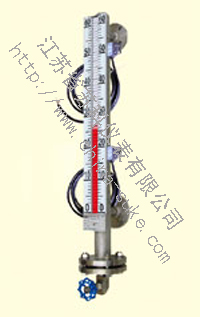 SK-F2(側(cè)裝式)翻柱控制液位計(jì)