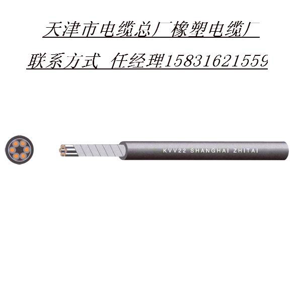 煤礦用聚氯乙稀絕緣和護(hù)套阻燃控制電纜MKVV電纜價(jià)格