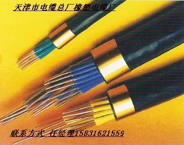 優(yōu)質(zhì)KVVP2電纜優(yōu)質(zhì)KVV22控制電纜KVVP控制電纜價(jià)格