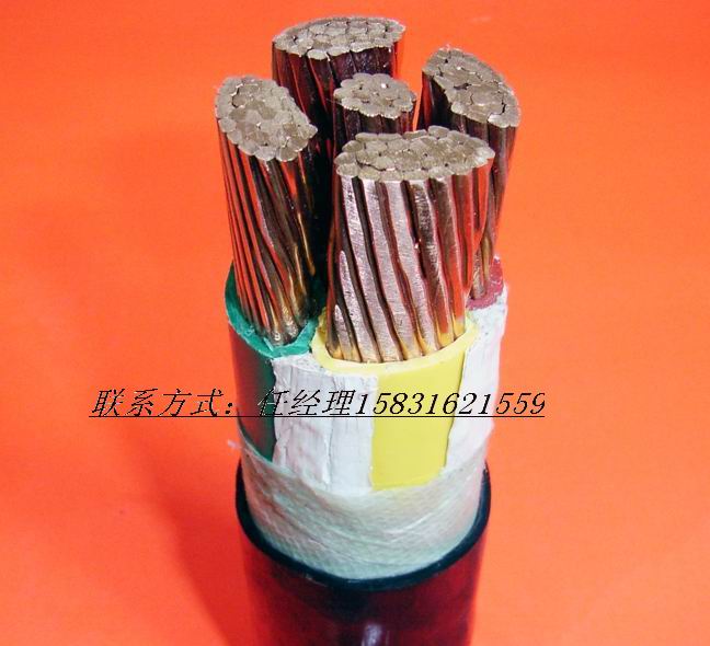 VV22.VLV22VV.VLV護(hù)套電力電纜電壓0.6/1KV