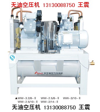 雙主機(jī)無(wú)油空壓機(jī)