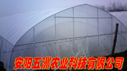 無支柱大棚桿 無立柱蔬菜大棚 食用菌無支柱大棚骨架機(jī)