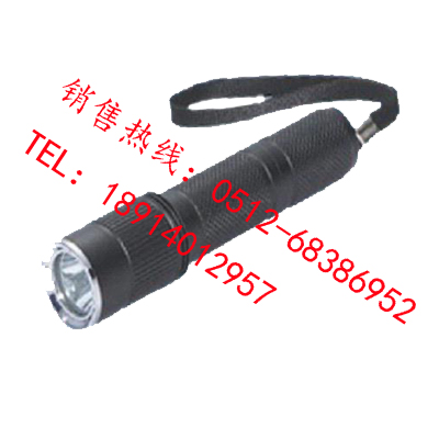 YBA205固態(tài)強(qiáng)光防爆電筒