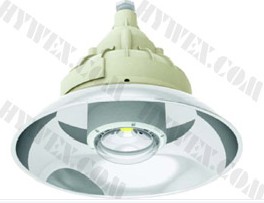 海洋王直銷CCD98防爆高效免維護(hù)LED照明燈 20W 防爆照明燈