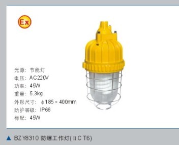 防爆工作燈