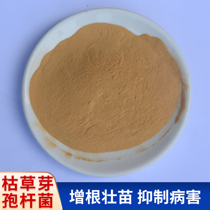 枯草芽孢桿菌飼料添加劑水產(chǎn)生根壯苗農(nóng)用全水溶肥1000億噴施滴灌