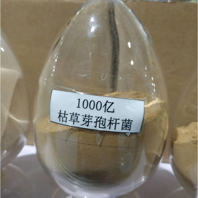 枯草芽孢桿菌水產養(yǎng)殖1000億全水溶飼料添加劑農業(yè)級有機肥