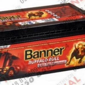 班納Banner蓄電池GIV12-12012v120ah鉛酸免維護電池