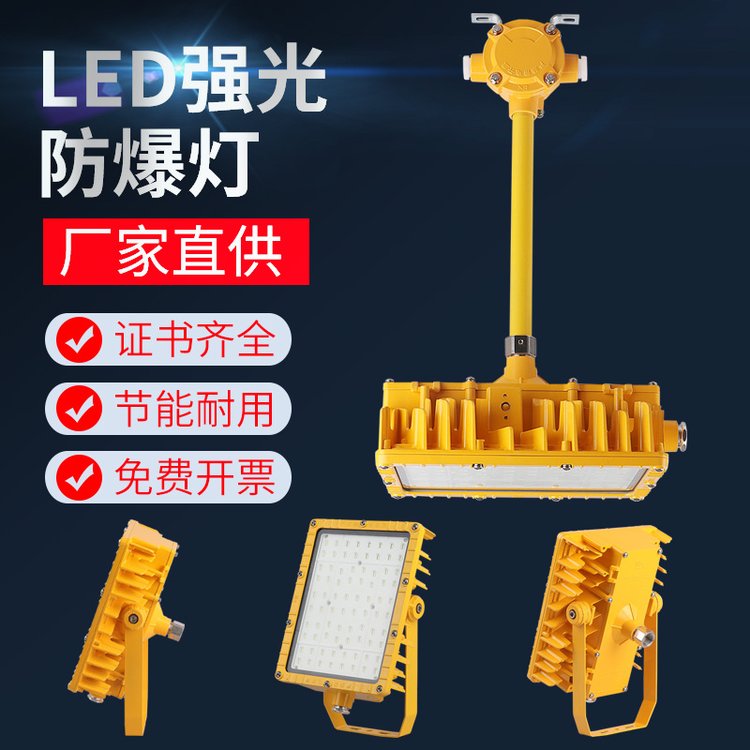 BFC8160-L100W免維護(hù)LED泛光燈化工廠區(qū)防爆路燈