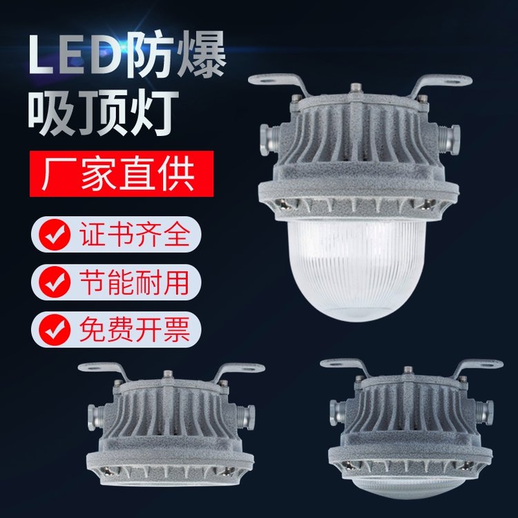 LED防爆燈30W50W支架式工廠平臺照明燈220V隔爆防水吸頂燈