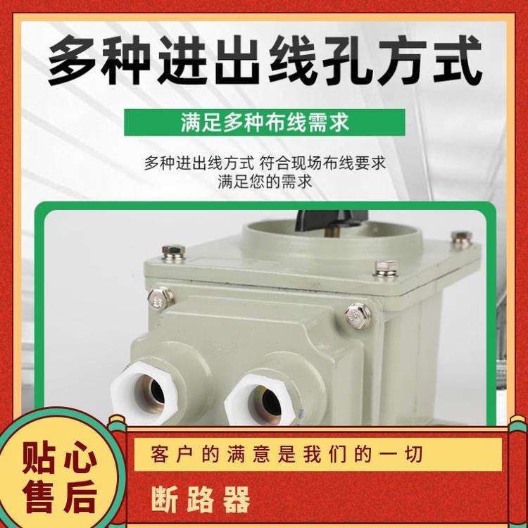 鋁合金A\/3防爆電機(jī)開(kāi)關(guān)型號(hào)GSH204-C25訂貨號(hào)多小型斷路器