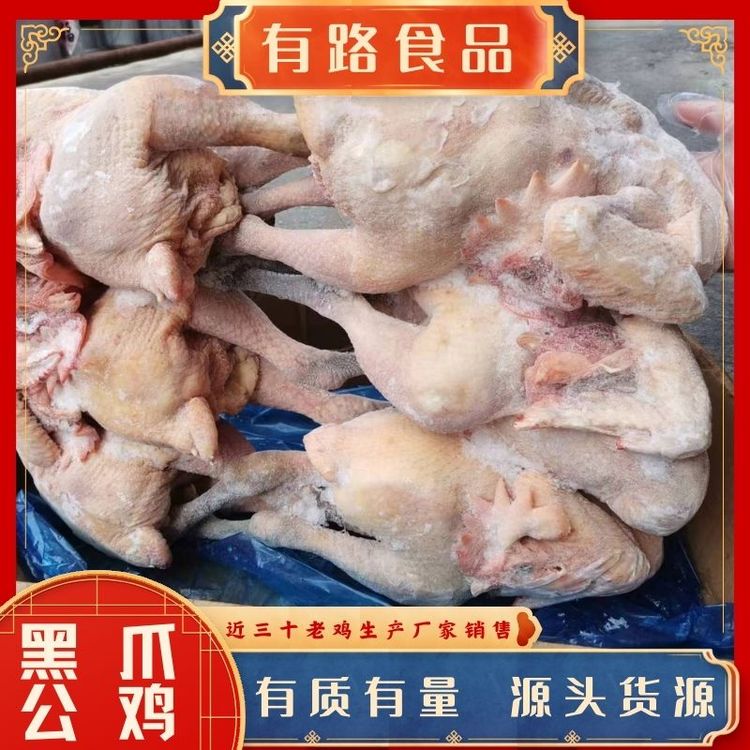 黑爪公雞廠家貨源有路食品老母雞生產(chǎn)供應(yīng)國內(nèi)雞肉深加工餐飲連鎖