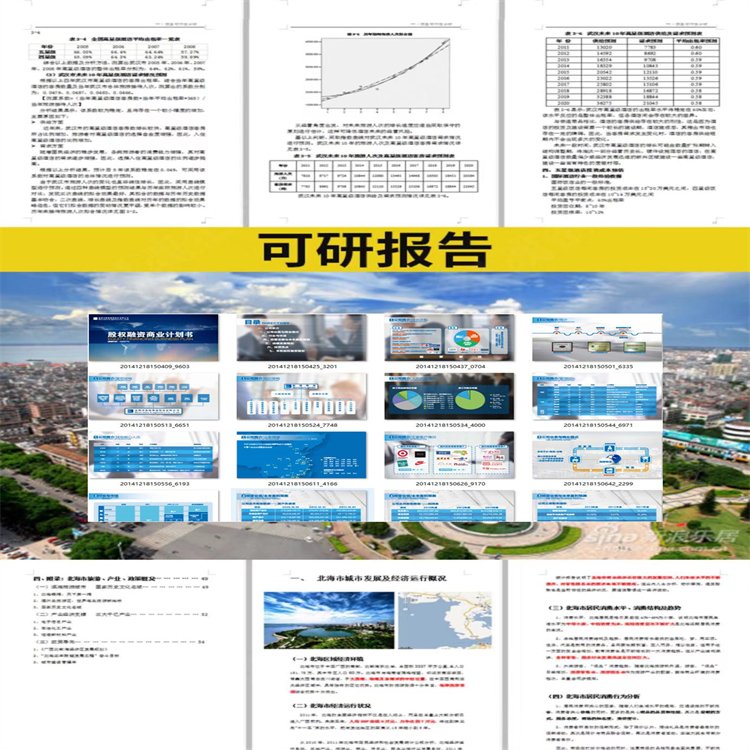 深圳項目可行性研究報告代寫企業(yè)計劃書提升企業(yè)形象秉誠