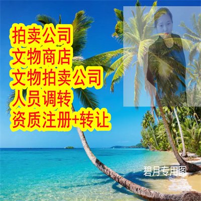 北京文物商店公司注冊(cè)辦法沒(méi)有專家怎么辦,文物拍賣公司注冊(cè)