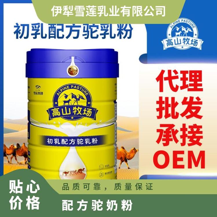 雪蓮乳業(yè)配方駝奶粉乳鐵蛋白駝奶粉市場(chǎng)保護(hù)代理招商