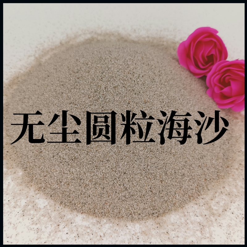 跑馬場(chǎng)用海沙兒童游樂場(chǎng)玩具沙無塵水洗圓粒砂