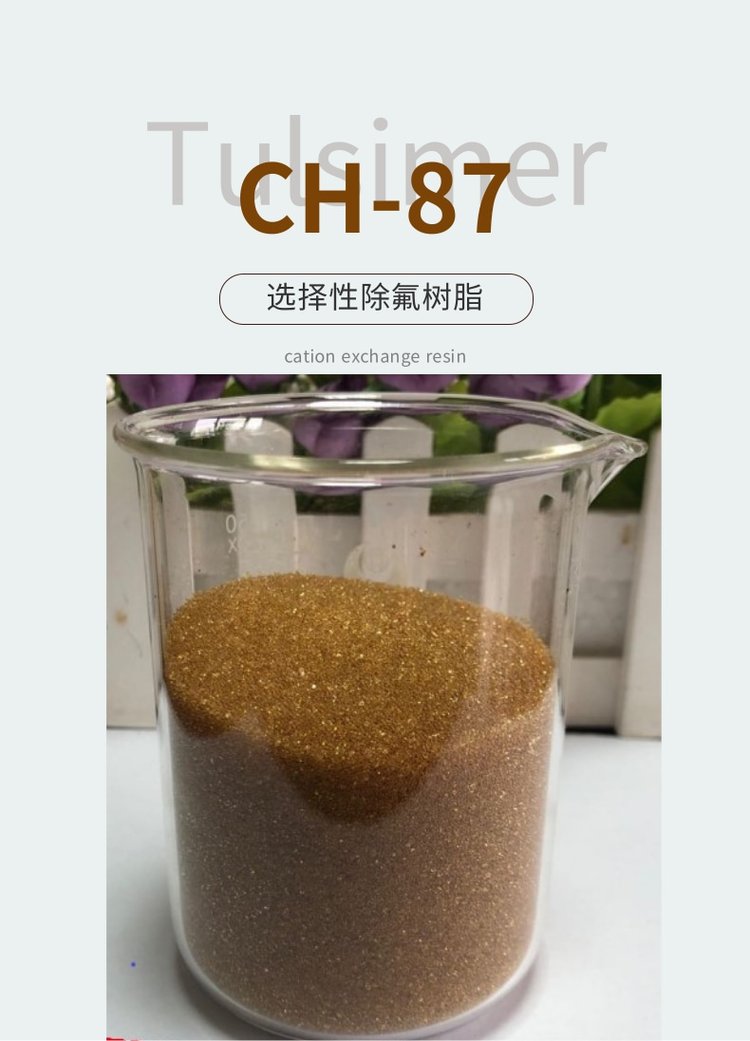 進口Tulsimer除氟樹脂CH-87高鹽吸附氟化物工藝材料