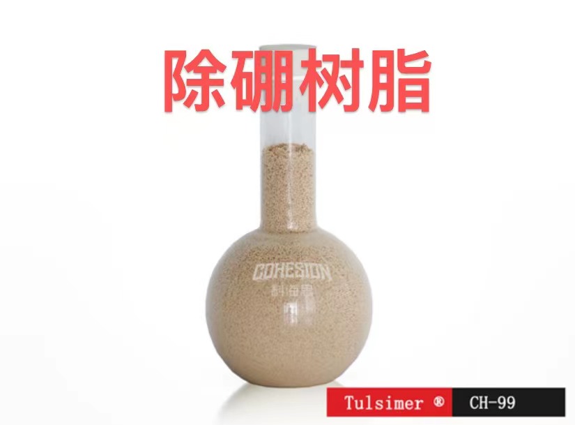 Tulsimer除硼樹脂CH-99胺聚羥基氯型超純水硼酸根吸附樹脂