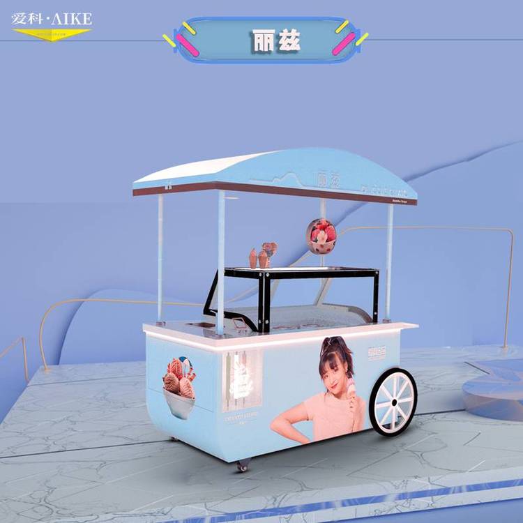 冰淇淋冷凍展示柜推車雪糕流動(dòng)手推車可做110V