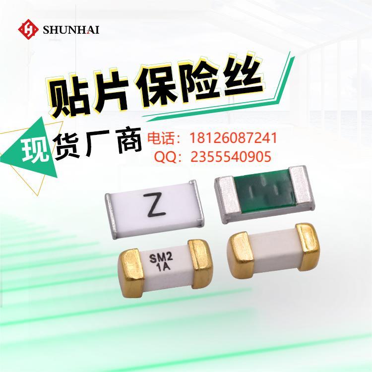 華德快斷保險絲2410F2A000250R2A250V電流保護器