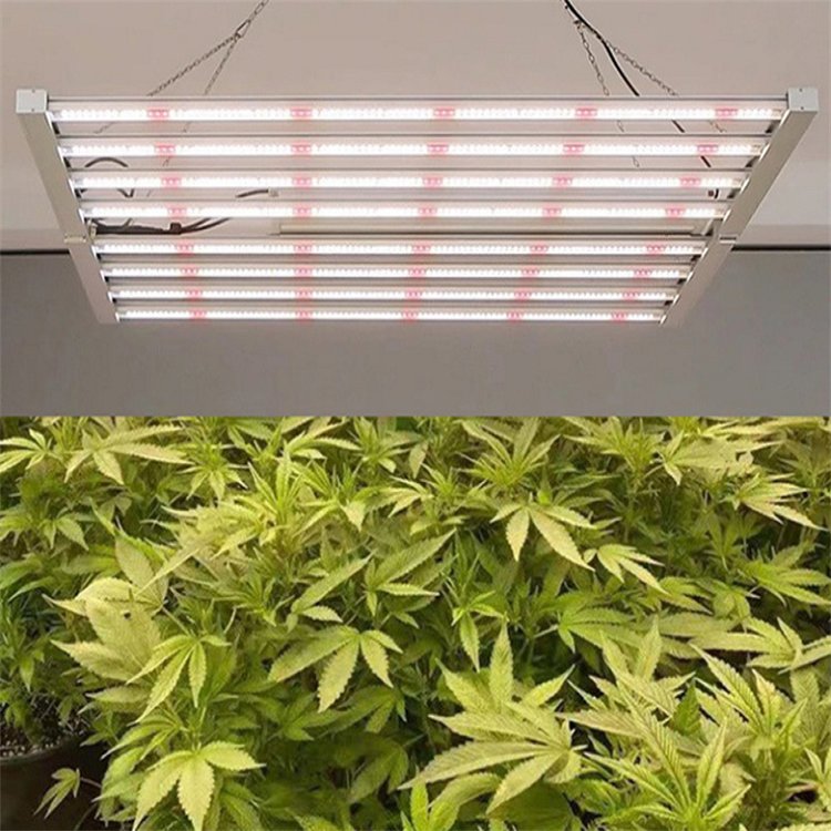 led植物生長燈廠家宏陽植物照明公司專注LED八爪魚植物補光燈