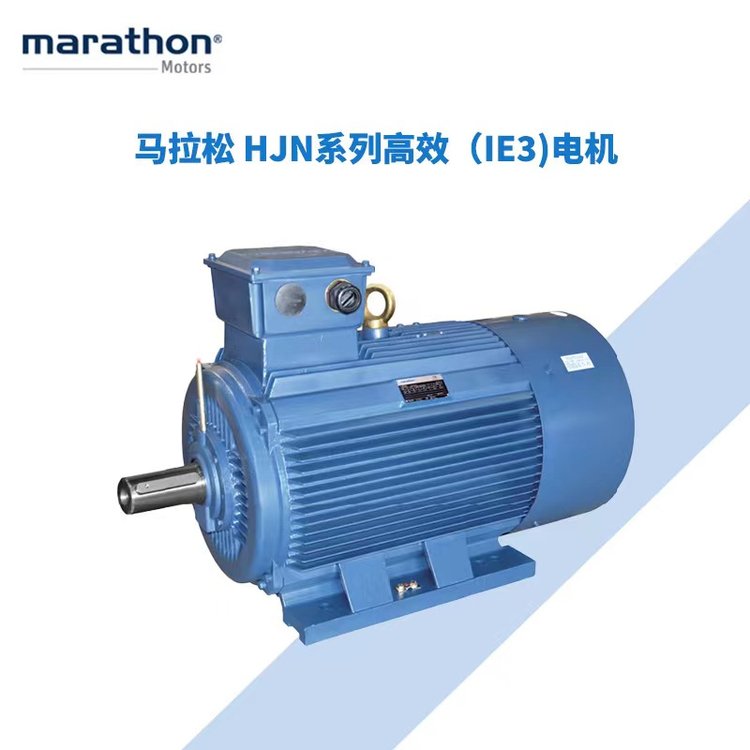 進(jìn)口美國MARATHON交流電機(jī)驅(qū)動(dòng)器氣動(dòng)隔膜泵礦用三相異步電機(jī)