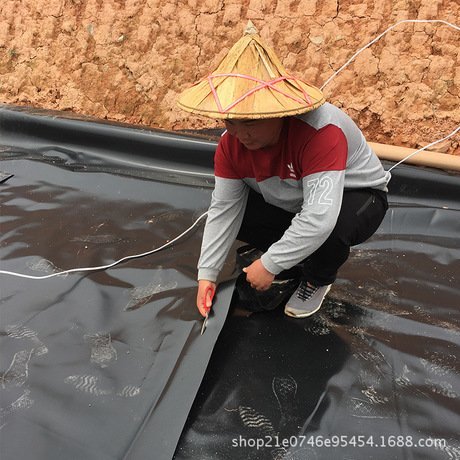 養(yǎng)殖豬場(chǎng)隔水膜化糞池防滲膜沼液池黑膜沼氣收集土工膜氧化塘HDPET土工膜廠家