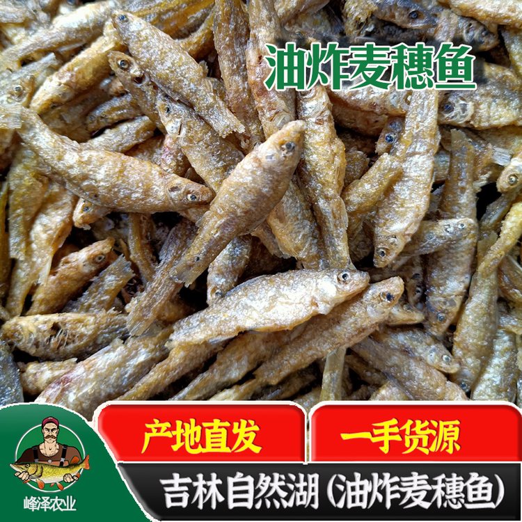 東北油炸麥穗魚產(chǎn)地銷售火焙魚小魚干貨廠家淡水無鹽麥穗魚干加工