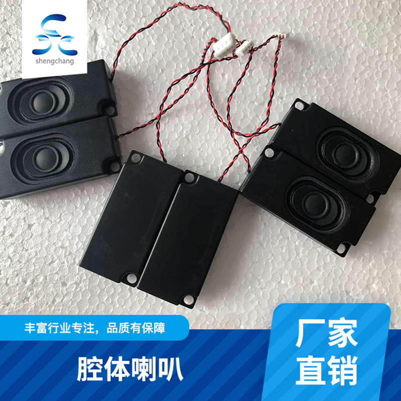 長方形揚(yáng)聲器電視機(jī)廣告機(jī)液晶顯示器小音箱腔體喇叭批發(fā)