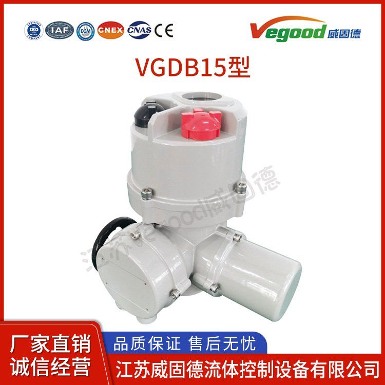 造紙廠工業(yè)總線型電動(dòng)執(zhí)行器DQW15型角行程系列電動(dòng)執(zhí)行器防護(hù)等級(jí)IP67