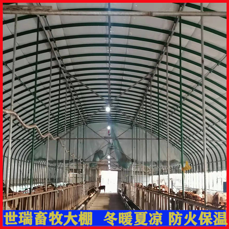 搭建養(yǎng)牛棚材料牛舍大棚建設鋼架養(yǎng)牛大棚施工黃牛養(yǎng)殖大棚