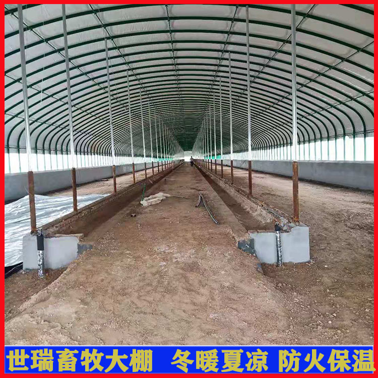 養(yǎng)牛大棚鋼管材料牛棚保溫層安裝牛羊棚施工建設(shè)世瑞畜牧