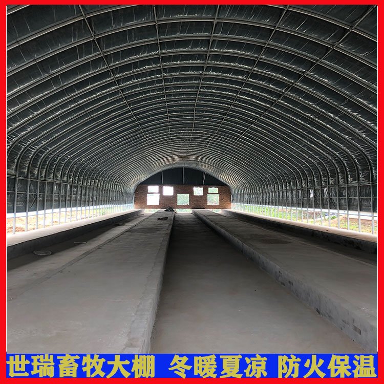 建造養(yǎng)鵝大棚肉鵝養(yǎng)殖大棚搭建散養(yǎng)鵝棚施工安裝簡易鵝舍大棚