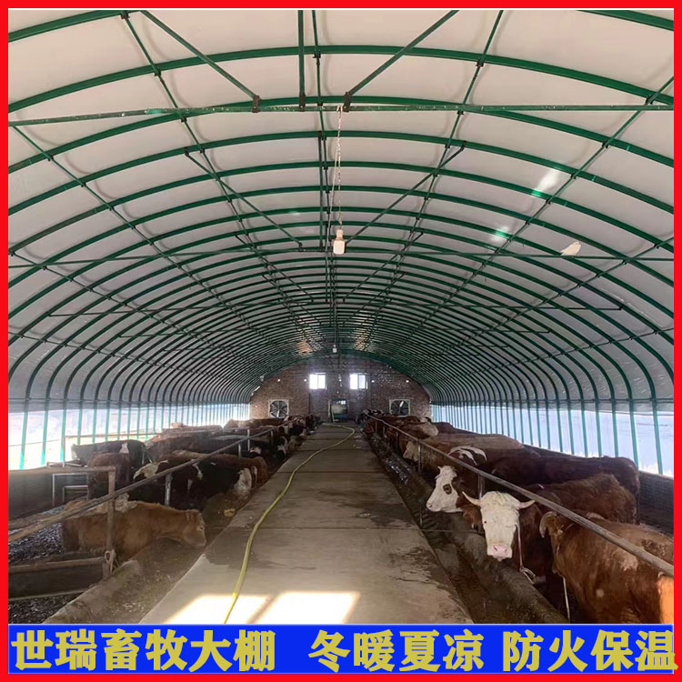 養(yǎng)牛大棚建設鋼架牛舍大棚施工安裝養(yǎng)牛棚材料建造成本