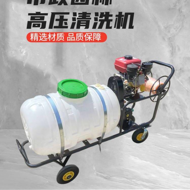 果樹除蟲噴藥機(jī)霧化效果好汽油推車款玉米小麥噴霧機(jī)