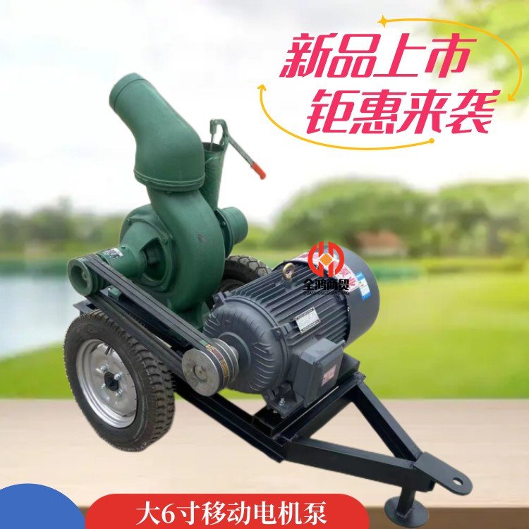 電機(jī)皮帶連接大6寸抽水泵移動(dòng)式搶險(xiǎn)抽水機(jī)臥室澆灌提水污水泵