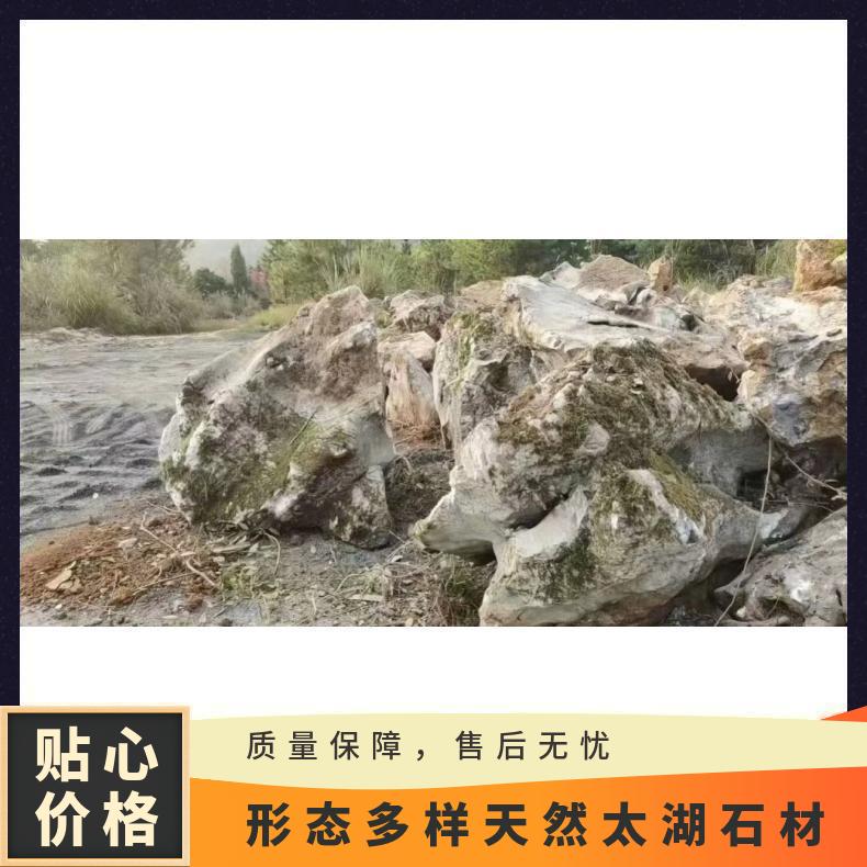 形態(tài)多樣天然石材灰色各種規(guī)格園景、綠地假山