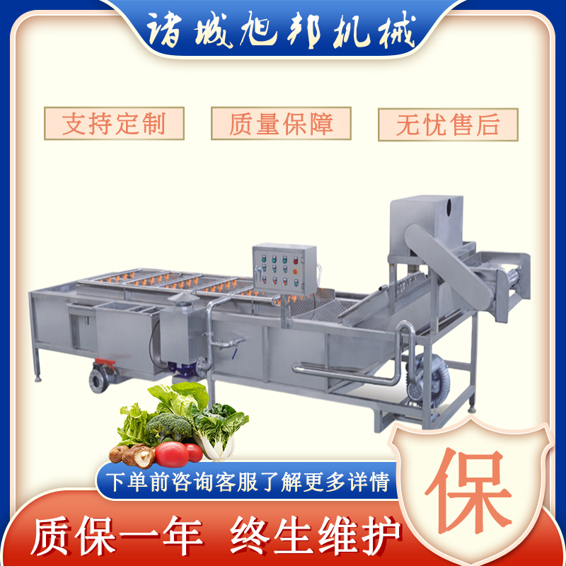 多功能海帶洗菜機高壓噴淋茶油果清洗機全自動蔬菜鼓泡去泥機