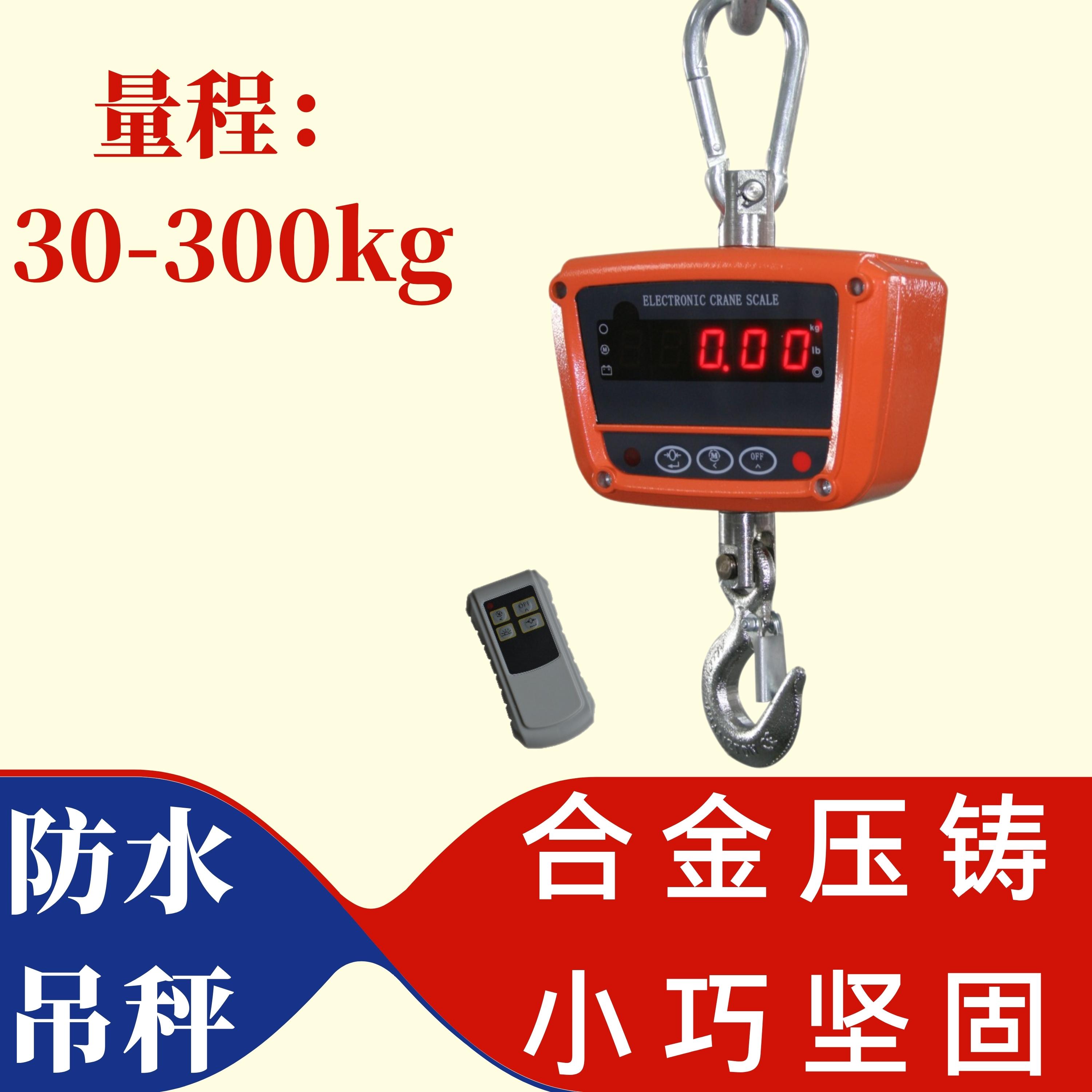 工業(yè)級IP65防水30kg100kg300kg電子吊秤行車稱重直視型吊鉤秤