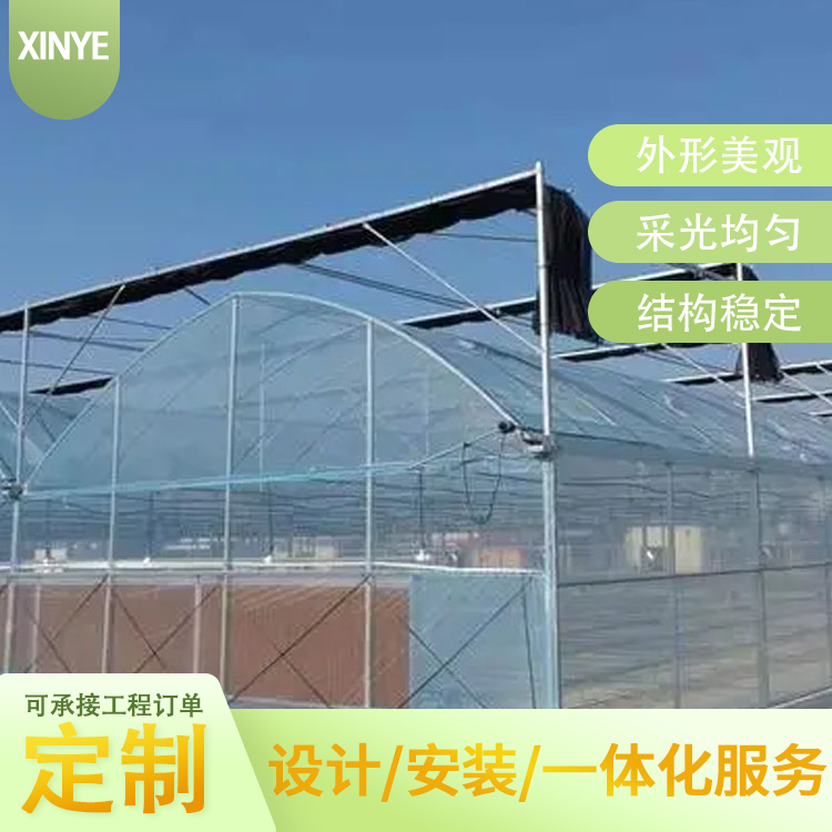 承建連棟薄膜溫室蔬菜大棚農(nóng)業(yè)種植廠家按需定制