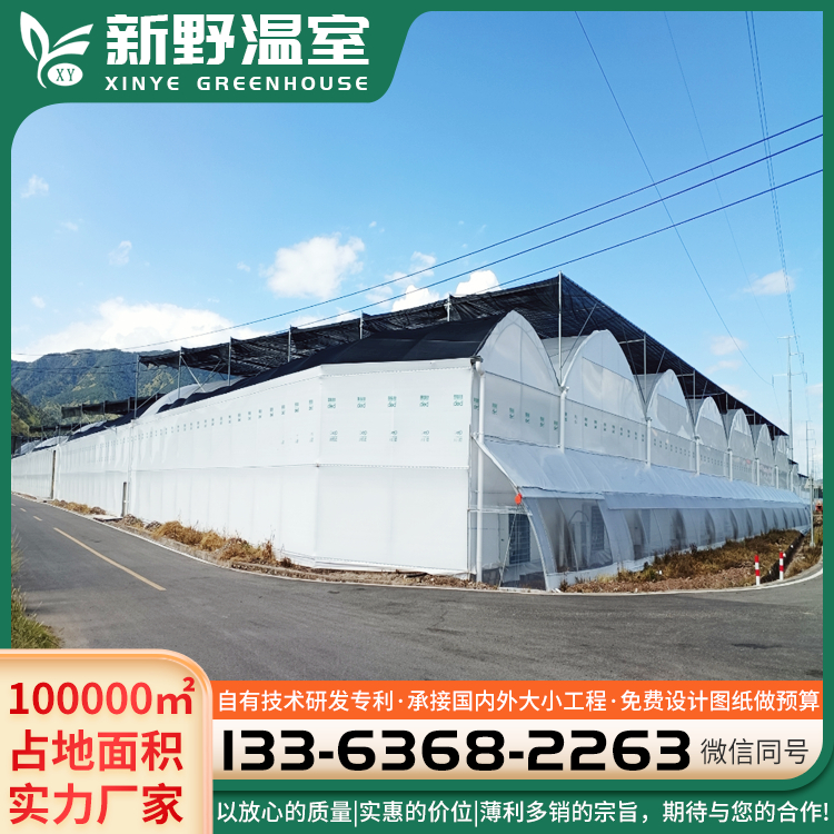 連棟陽光板溫室拱形采摘大棚建造農(nóng)業(yè)用種植大棚