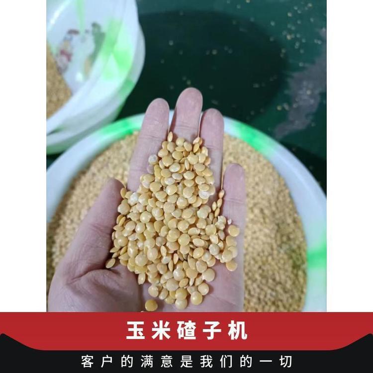 魯曹高新全自動(dòng)玉米脫皮制糝機(jī)糝粉加工小型一機(jī)多用